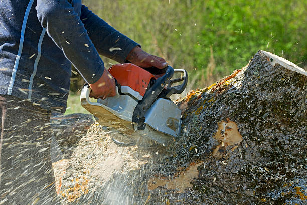 Soil Testing and Treatment in Longtown, OK